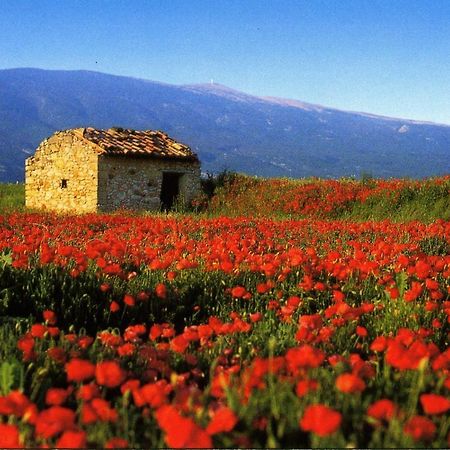 Maison De Village De 98 M2 Typiquement Provencale Pierrevert Екстериор снимка